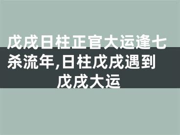 戊戌日主|戊戌日柱在2024年甲辰流年 木火相生赢得一席之地——天玄网